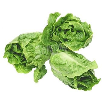 Imagen de Cogollos de lechuga